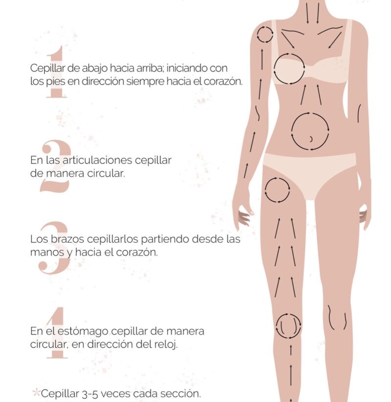 Cepillo de cerdas naturales y vegetales de pita. - Imagen 4